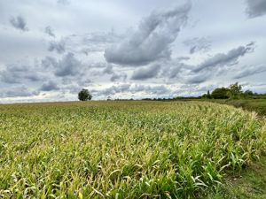 Views Over Fields- click for photo gallery